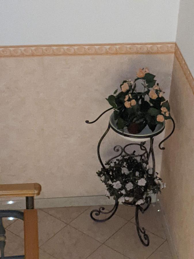 D'Elite Room & Breakfast Феррара Экстерьер фото